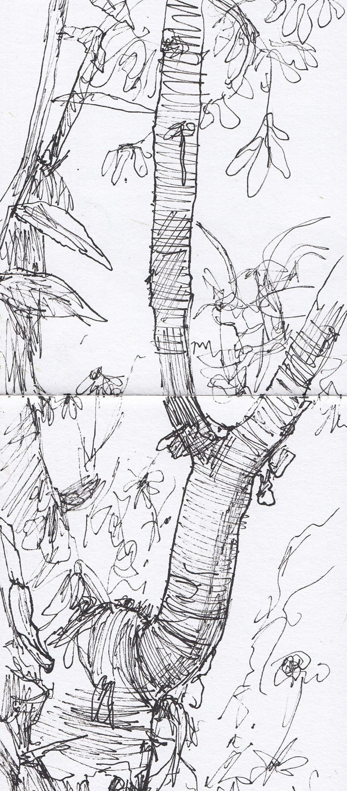 Sketchbook Entry #6
