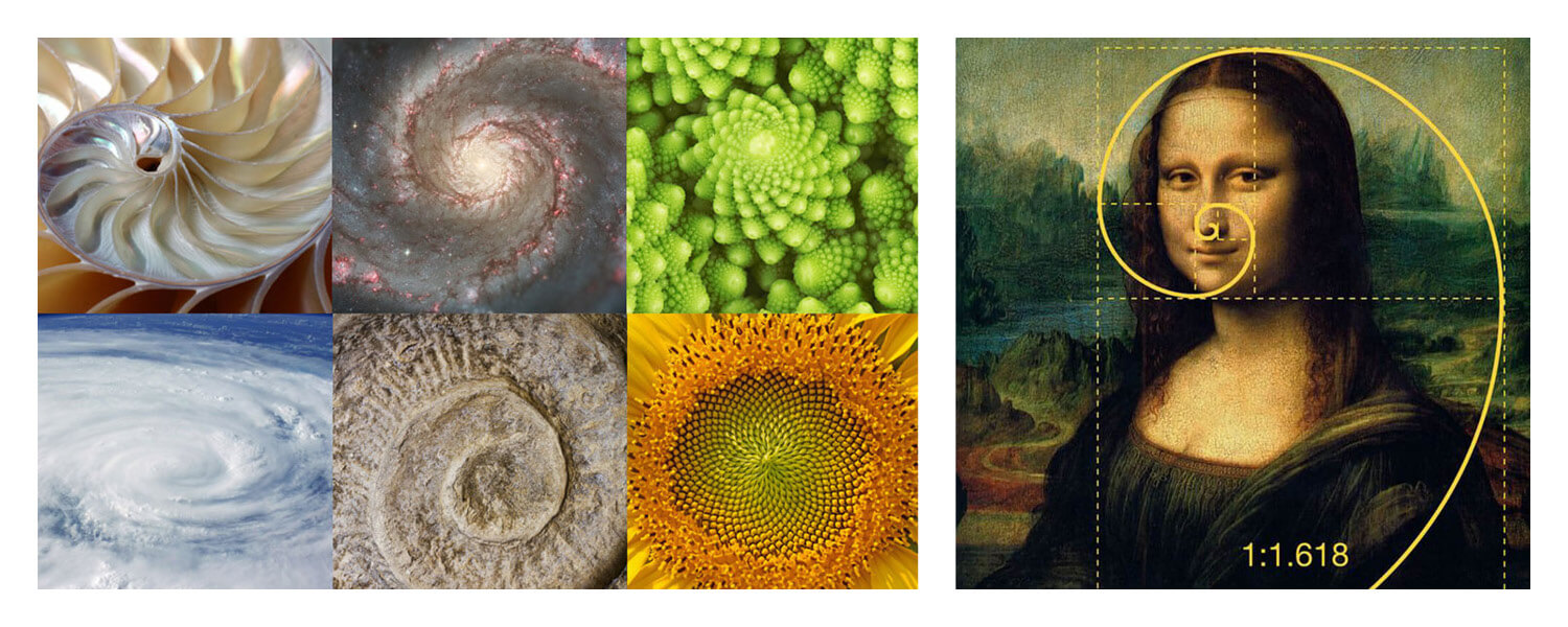 USE THE GOLDEN RATIO AND THE FIBONACCI SEQUENCE TO MAKE A PAINTING (PART 2)  