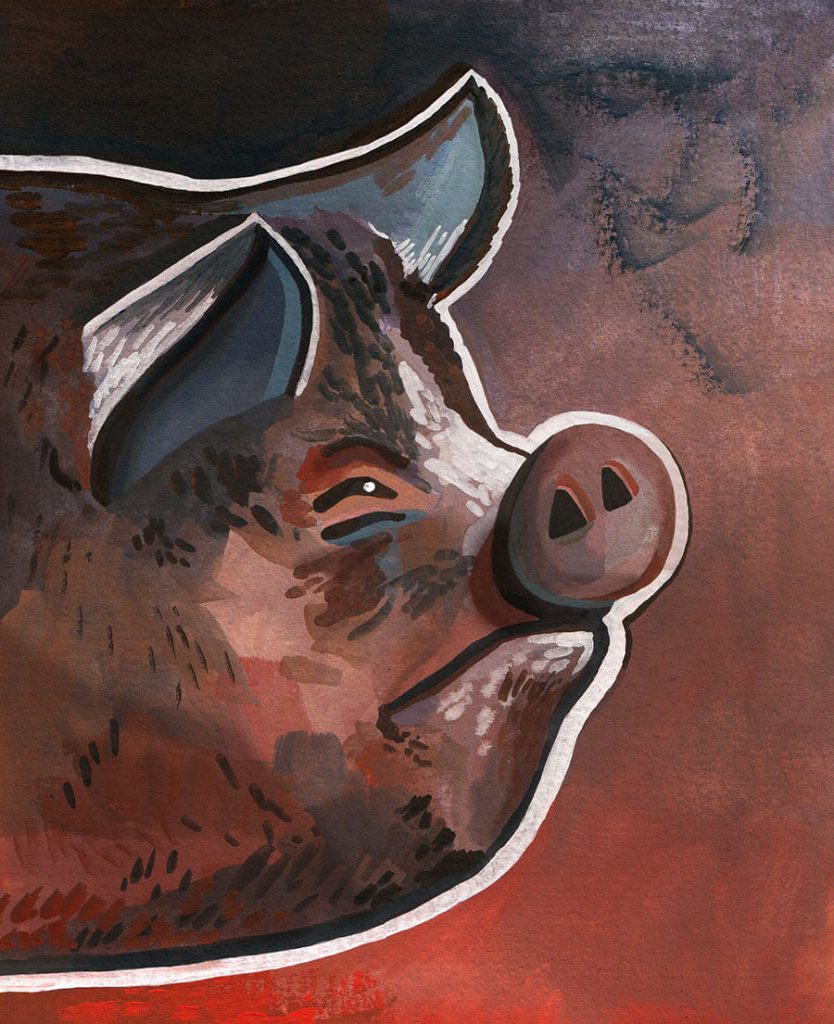 Animal Farm Illustrations - Haydn Symons Illustration