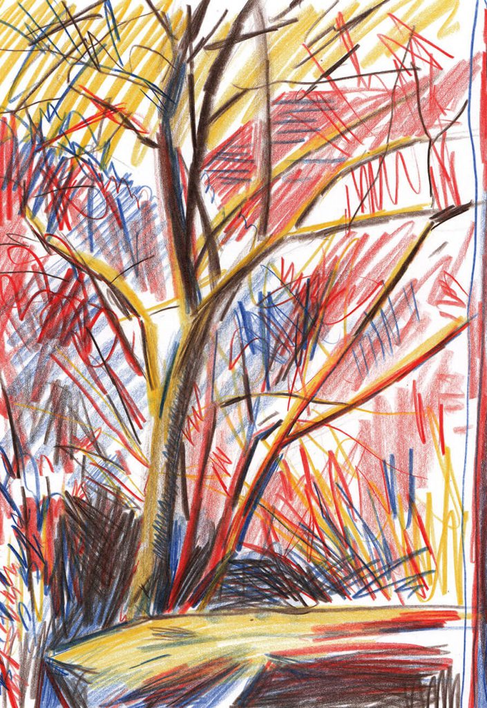 Trees and nature landscape drawing