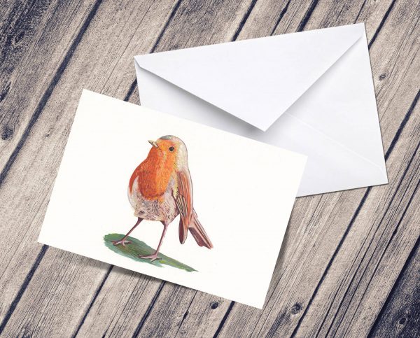 Festive robin greetings card