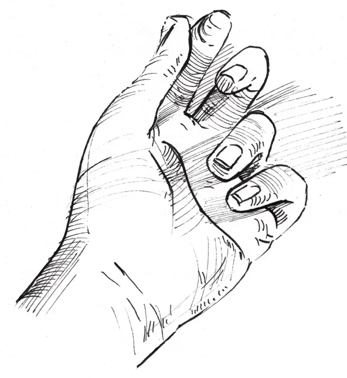 Observational Drawing Exercise