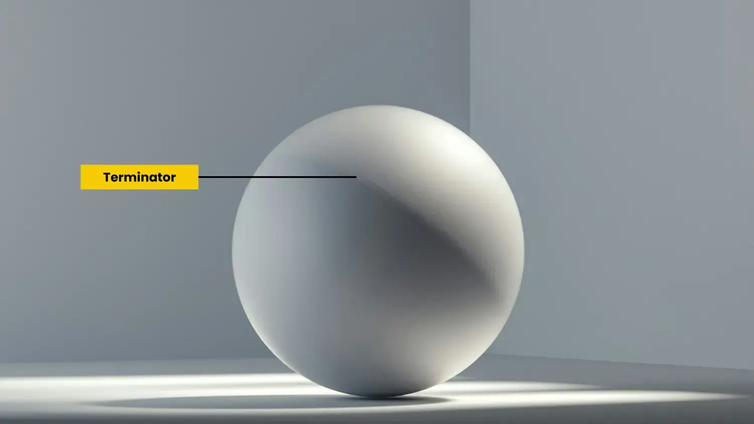 Terminator Shadow