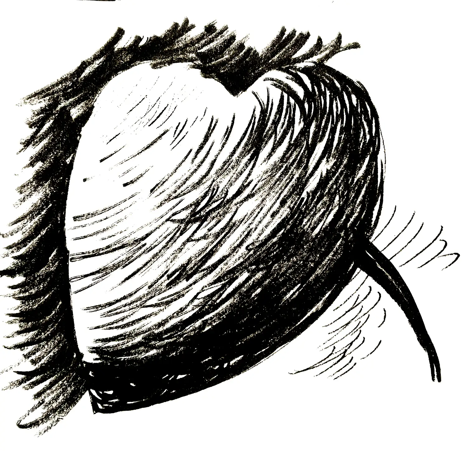 Circular Shading Technique