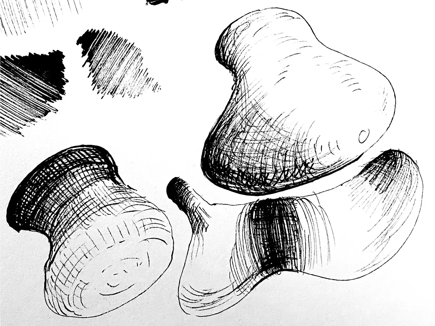 Cross Contour Drawing Exercise