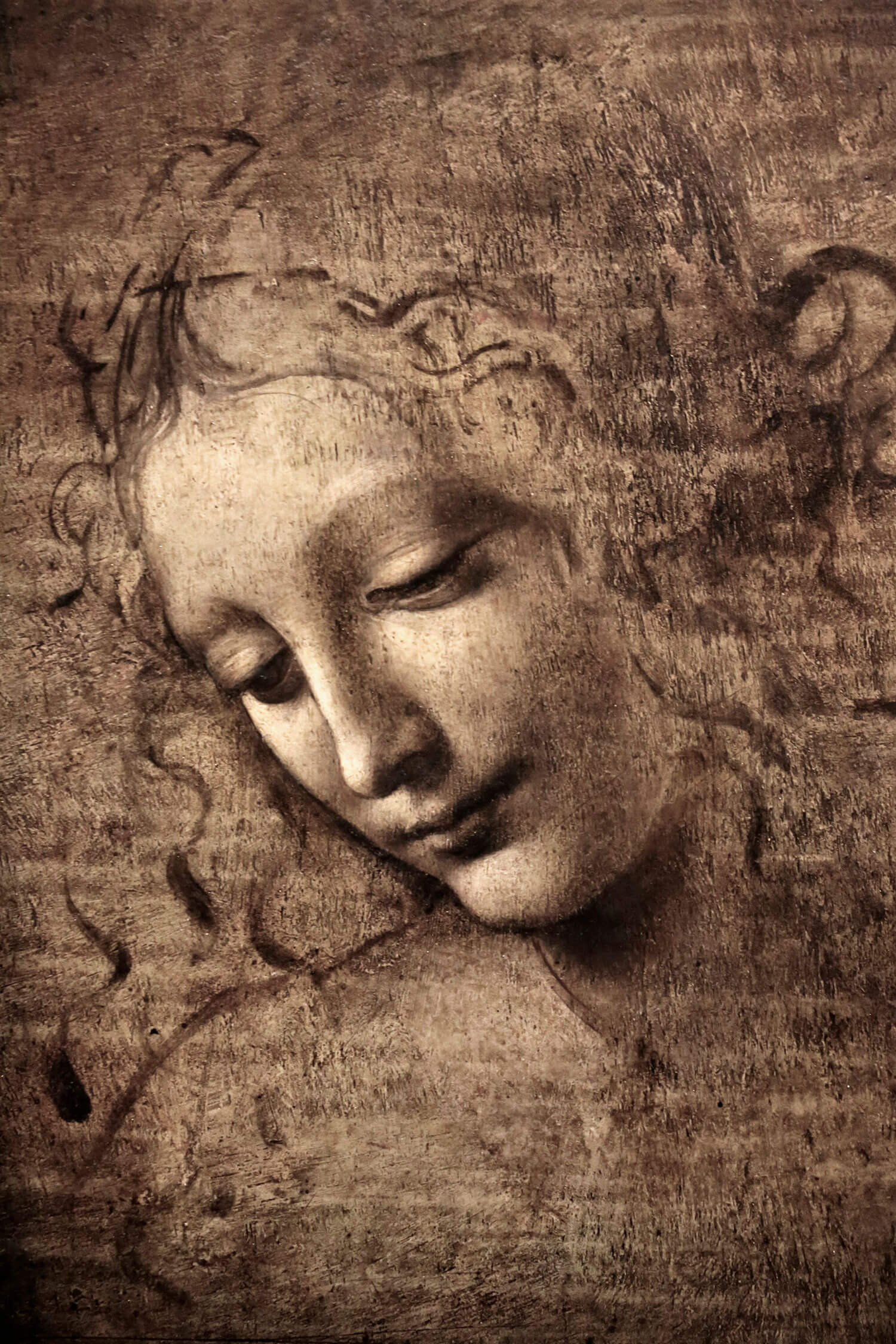 Leonardo da Vinci La Scapigliata