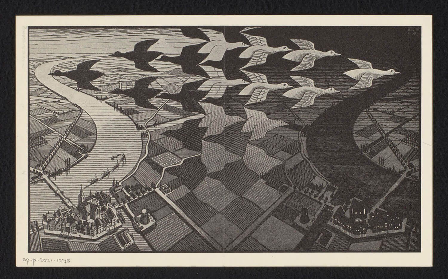 M. C. Escher Artwork