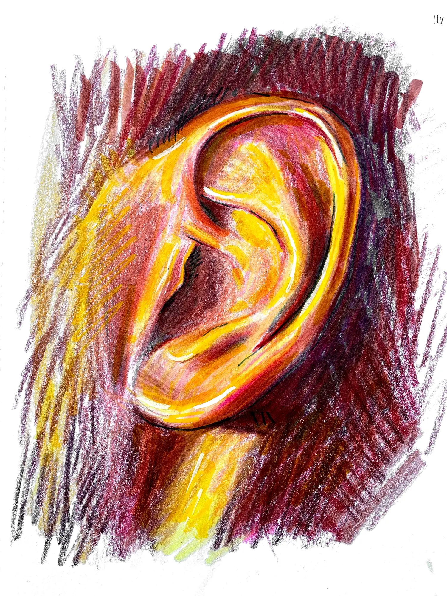 Ear Colour Pencil Drawing