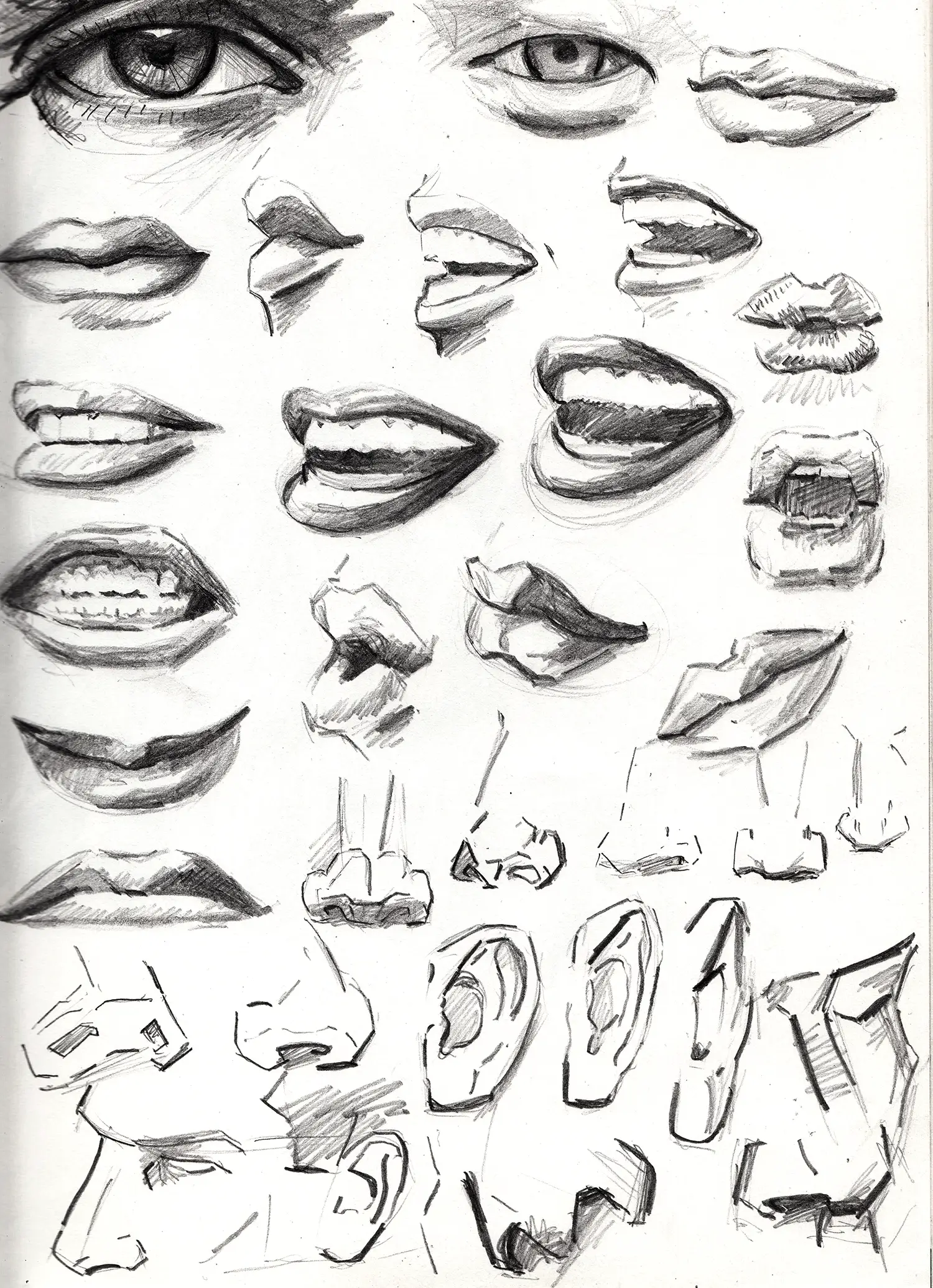 Facial Features Art