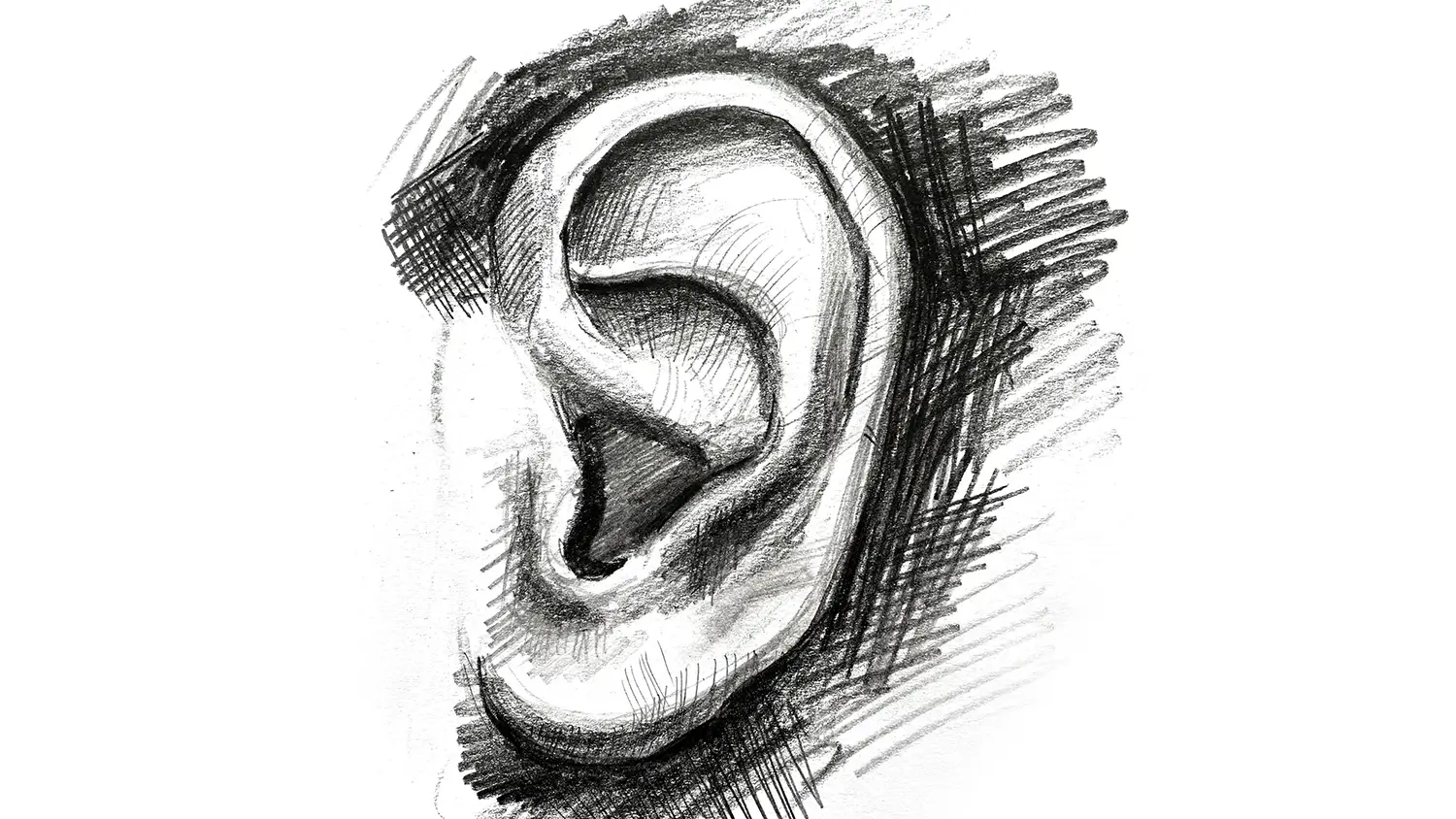 Pencil Ear Drawing