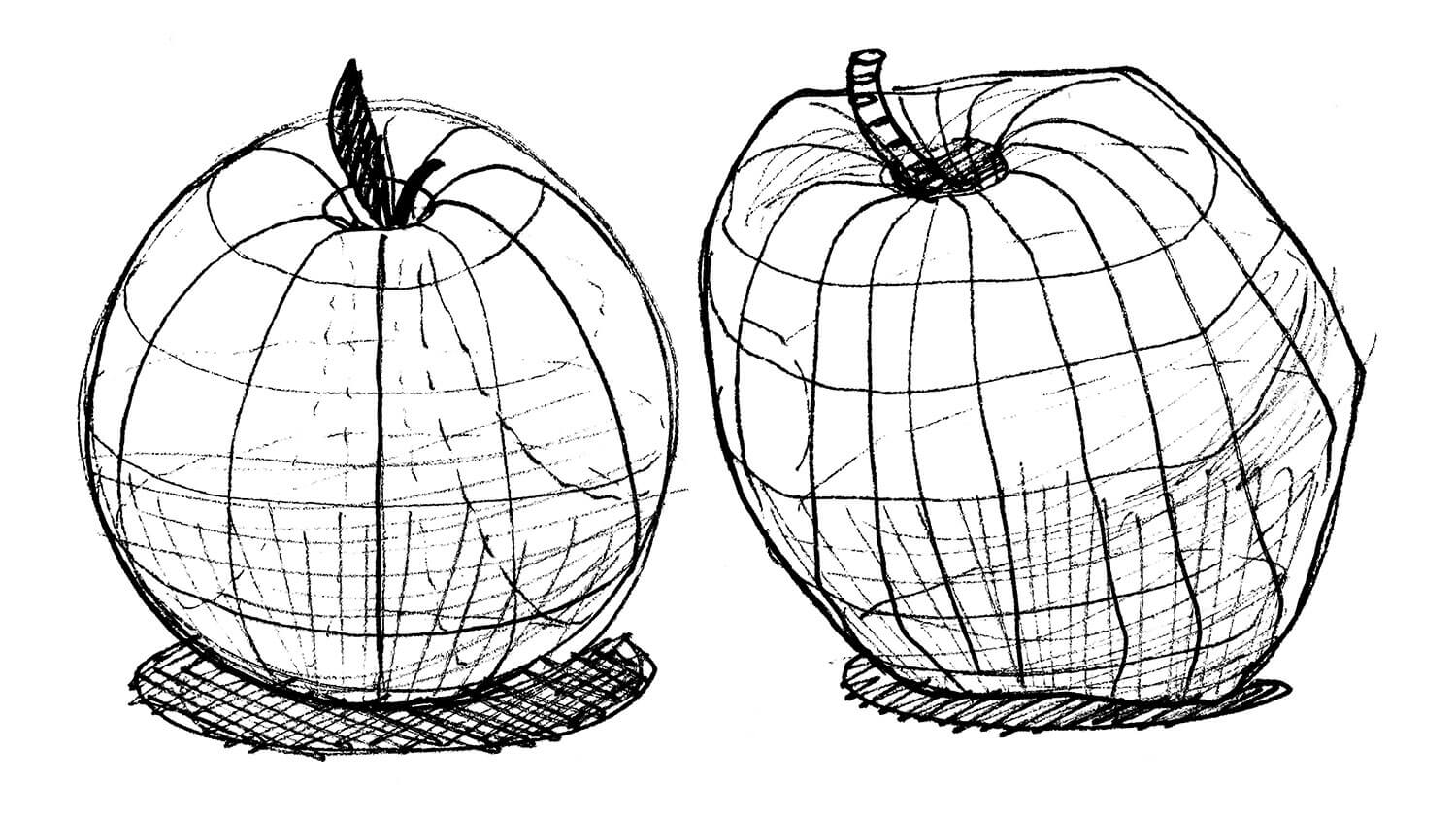 Apple Drawings with Pen