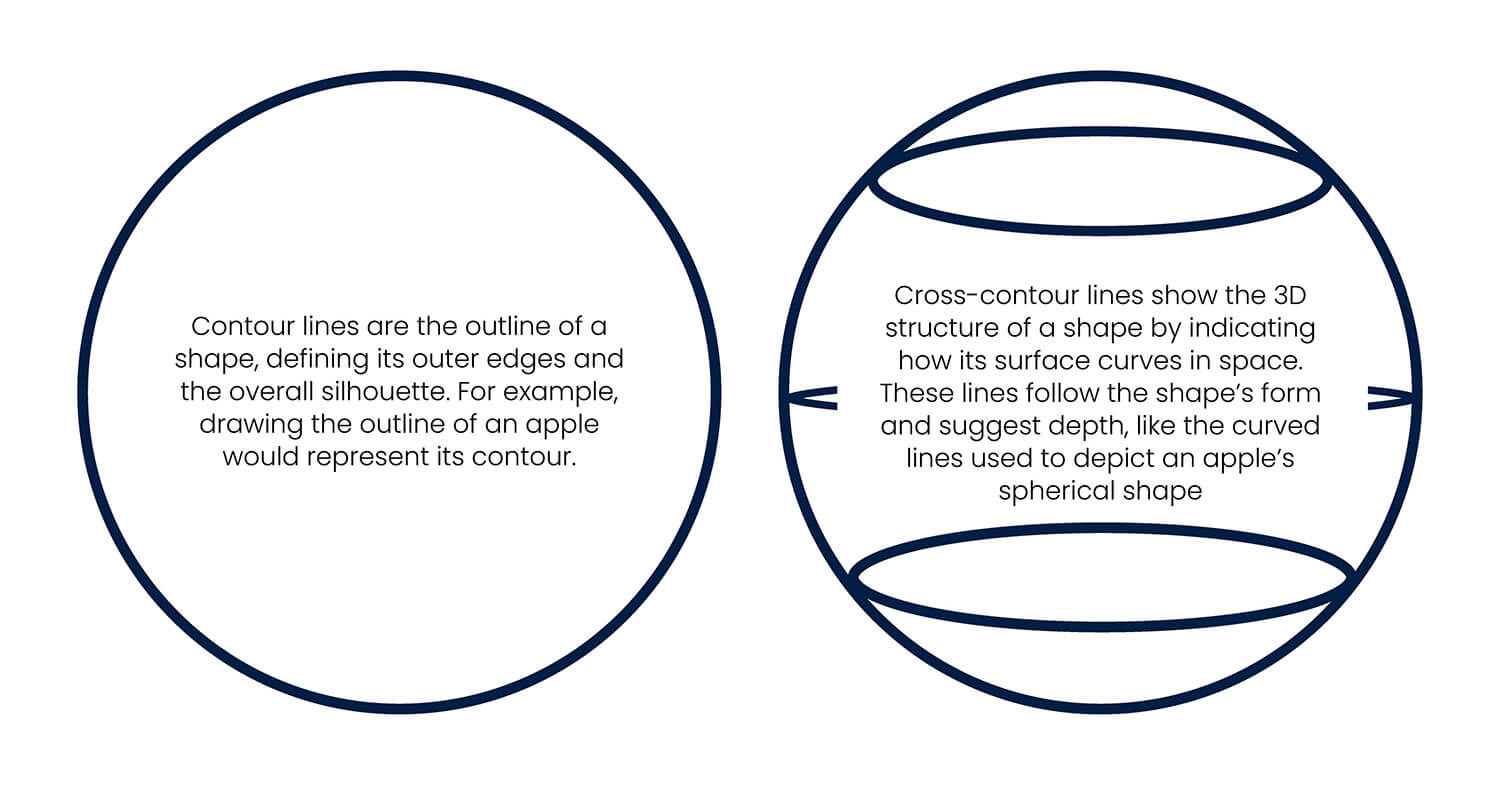 Cross Contour Drawing