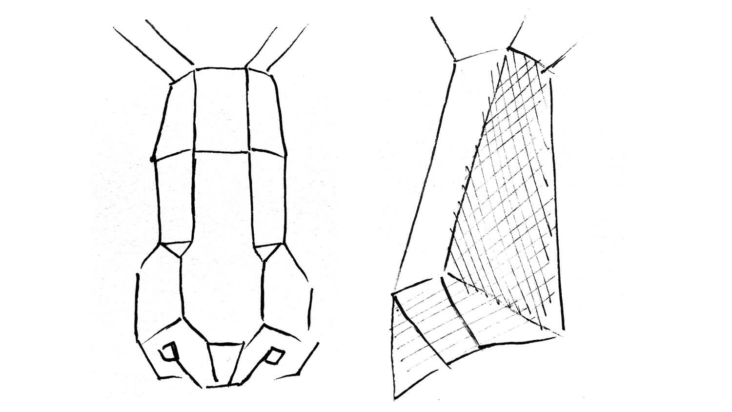 Nose Diagram Drawing