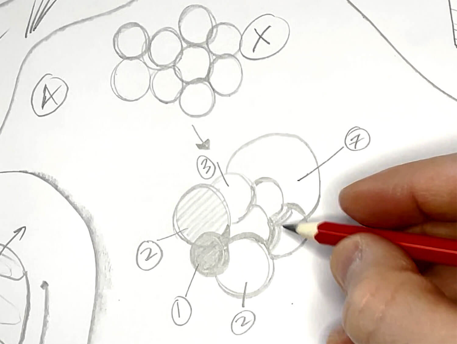 Overlapping Drawing Exercise