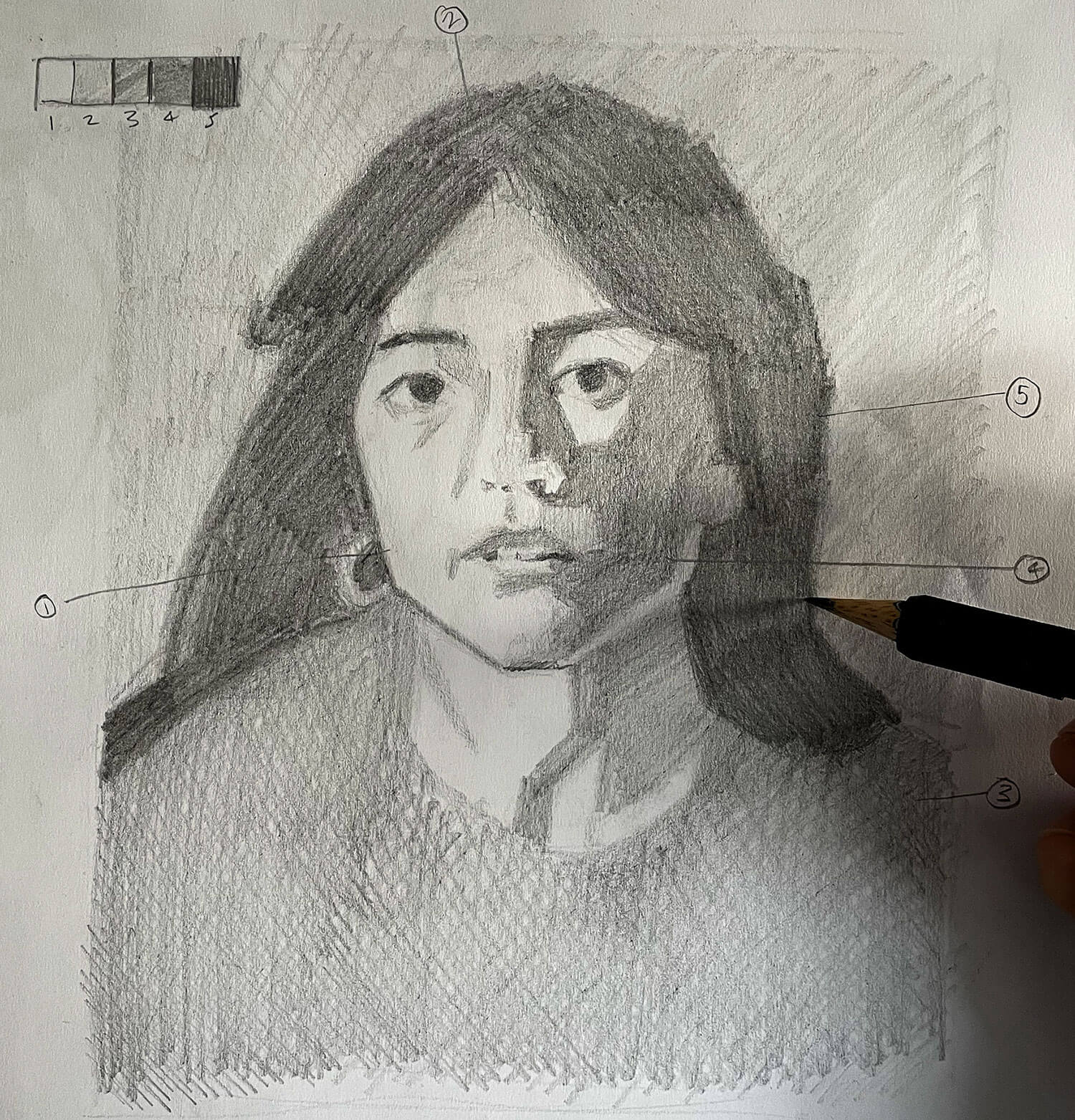 Portrait Value Study